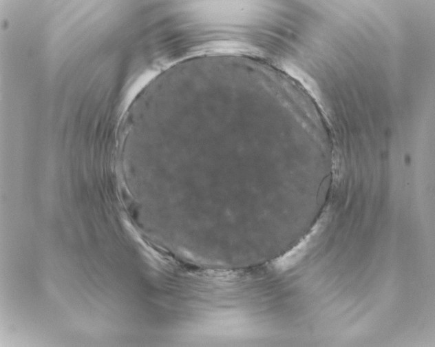 X0000088591473200706151724