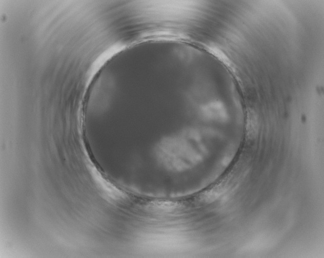 X0000088591474200706151724