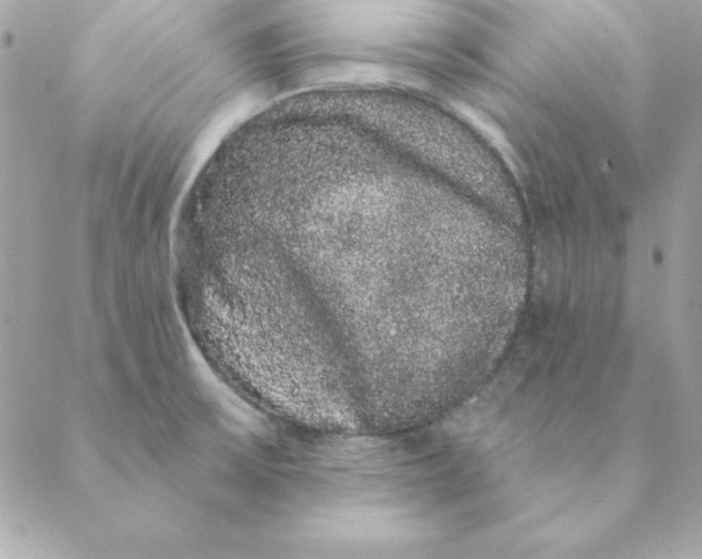 X0000088591475200706151724