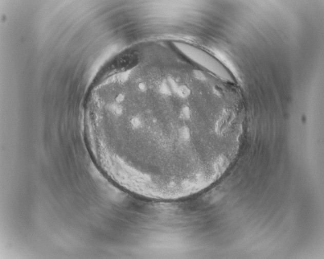 X0000088591476200706151724