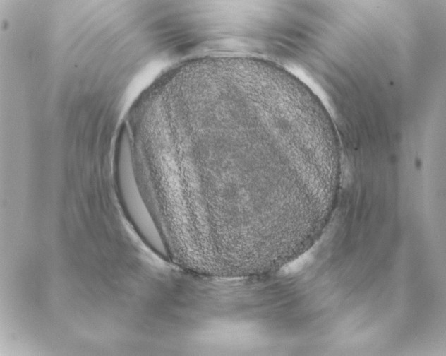 X0000088591477200706151724