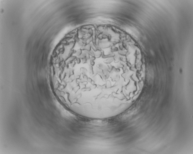 X0000088591478200706151724