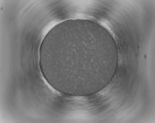 X0000088591479200706151724