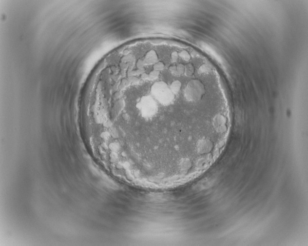 X0000088591480200706151724