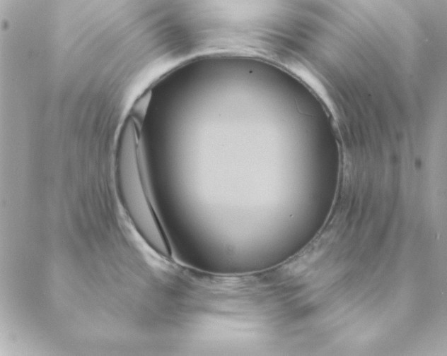 X0000088591485200706151724