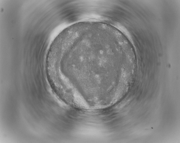 X0000088591488200706151724