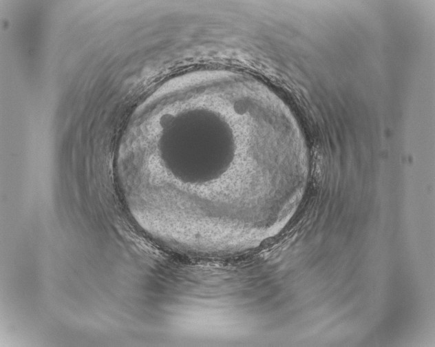 X0000088591489200706151723