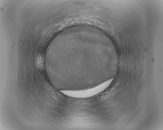 X0000088591490200706151723