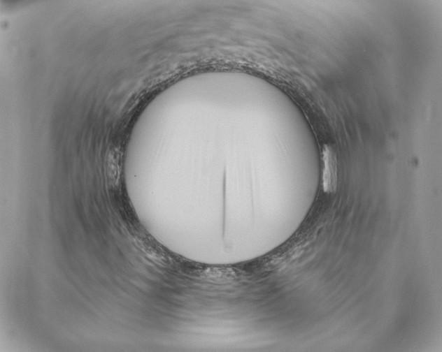 X0000088591491200706151723