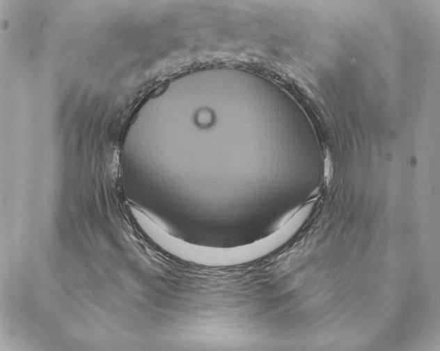 X0000088591492200706151723