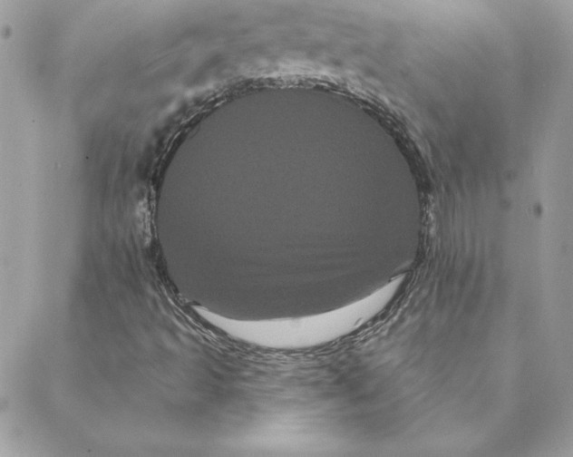 X0000088591493200706151723