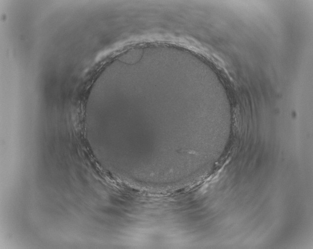 X0000088591494200706151723