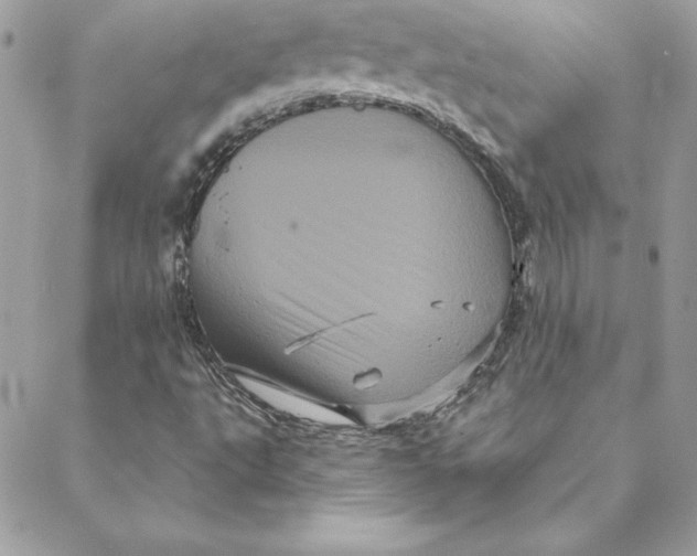 X0000088591495200706151723