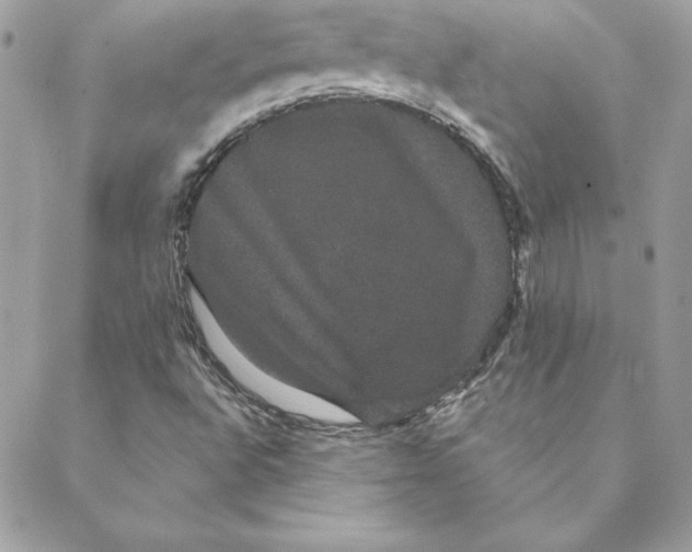 X0000088591496200706151723