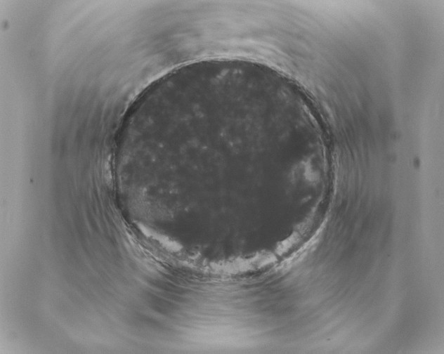 X0000088591497200706151723