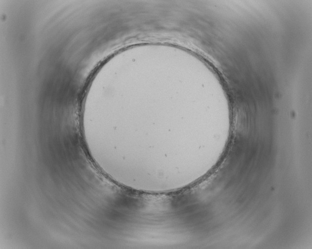 X0000088591498200706151723