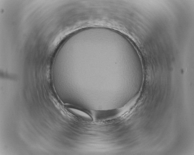 X0000088591499200706151723