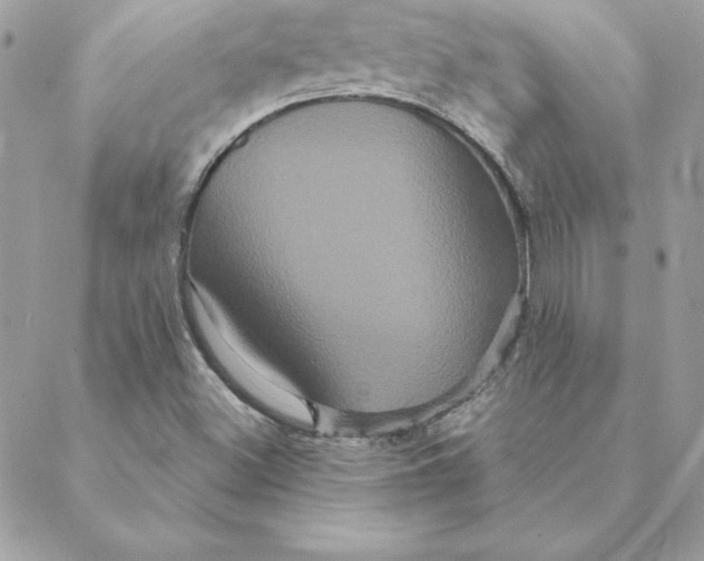 X0000088591500200706151723