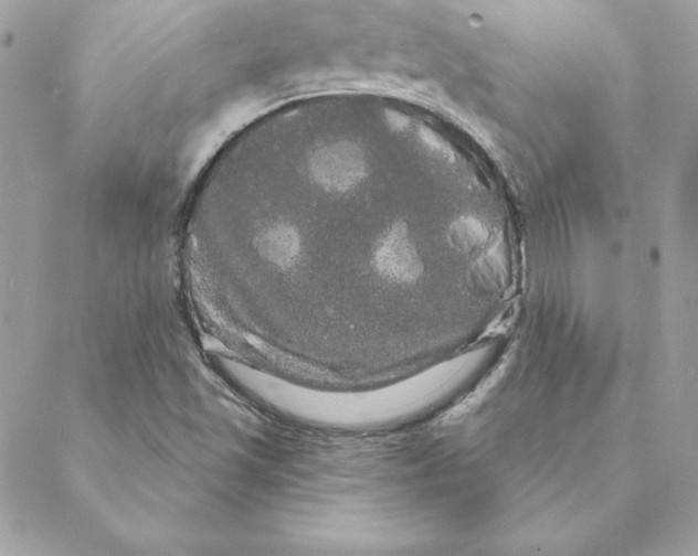 X0000088591501200706151723