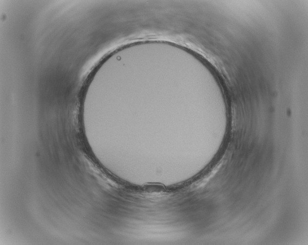 X0000088591502200706151723