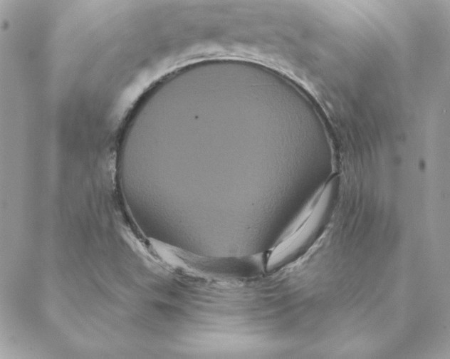 X0000088591503200706151723