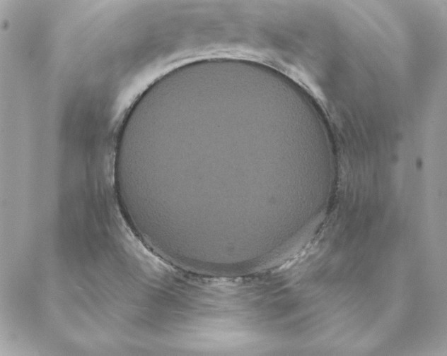 X0000088591504200706151723