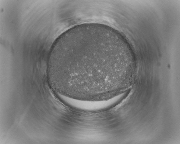 X0000088591505200706151723