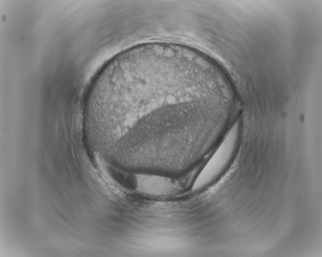 X0000088591506200706151723