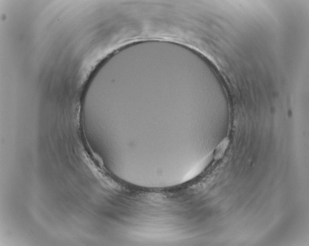 X0000088591507200706151723