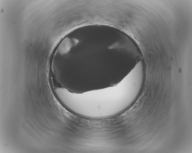 X0000088591508200706151723