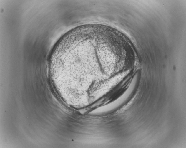 X0000088591509200706151723