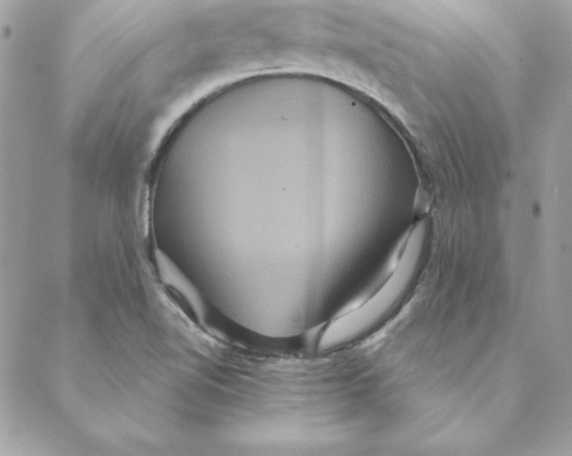 X0000088591510200706151723