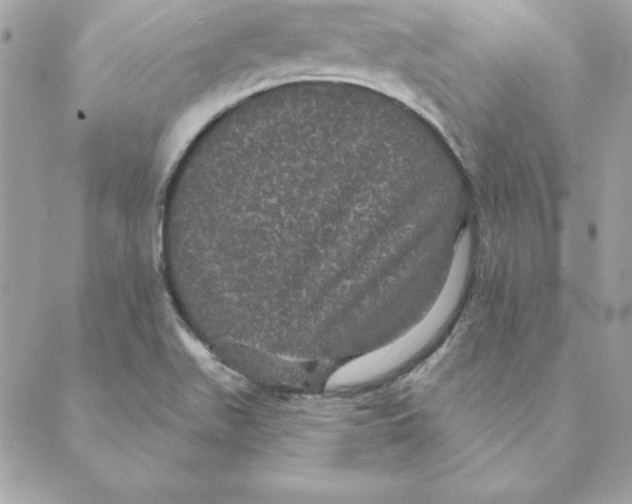 X0000088591511200706151723