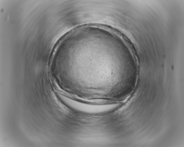 X0000088591513200706151723