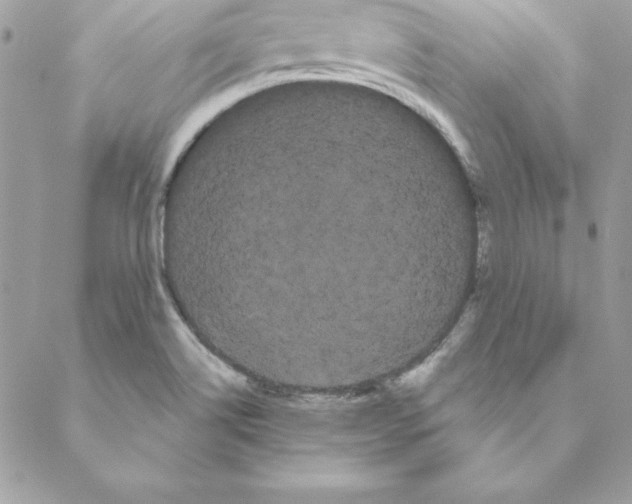 X0000088591514200706151723