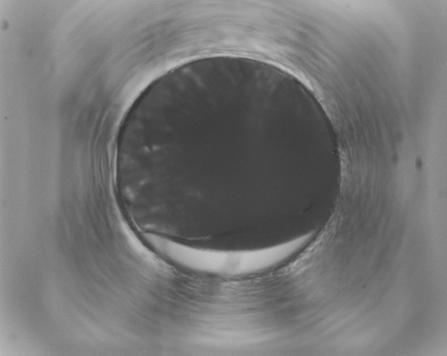 X0000088591515200706151723