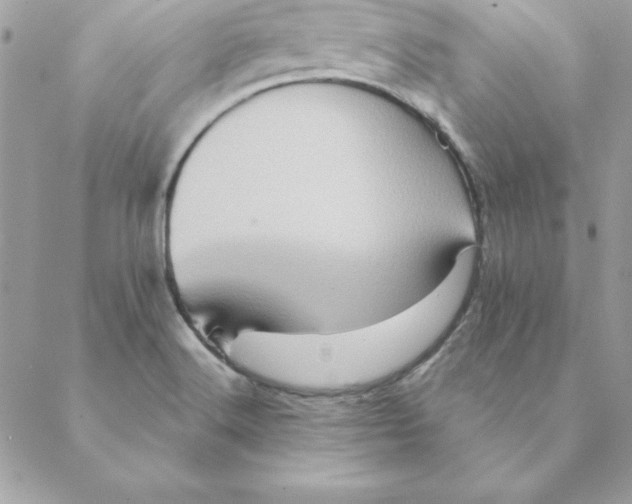 X0000088591516200706151723