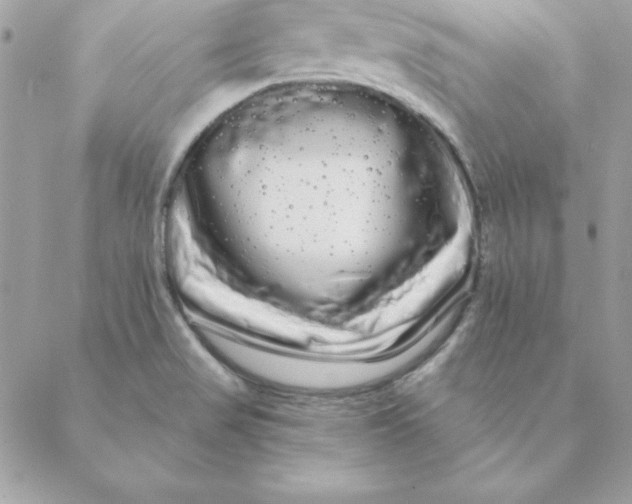 X0000088591517200706151723