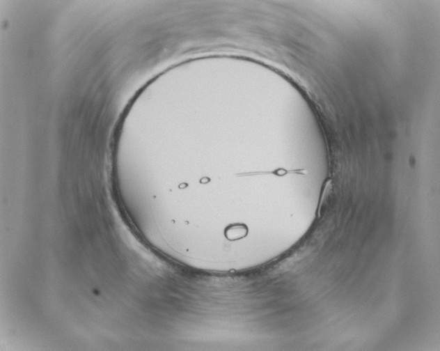 X0000088591518200706151723