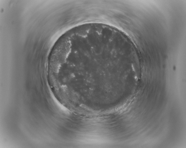 X0000088591519200706151723