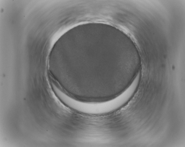 X0000088591520200706151723