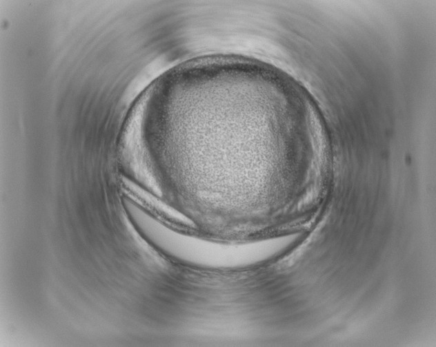 X0000088591521200706151723