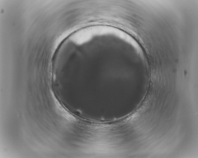 X0000088591522200706151723