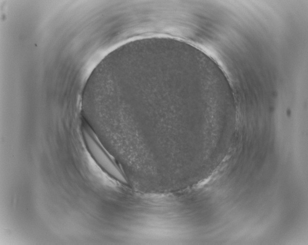 X0000088591524200706151724