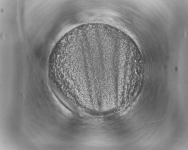 X0000088591525200706151724