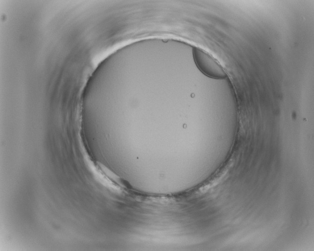 X0000088591526200706151724