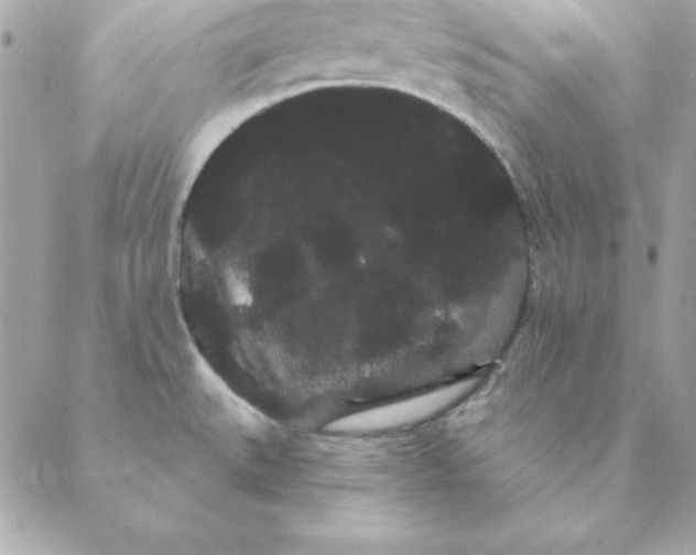 X0000088591527200706151724