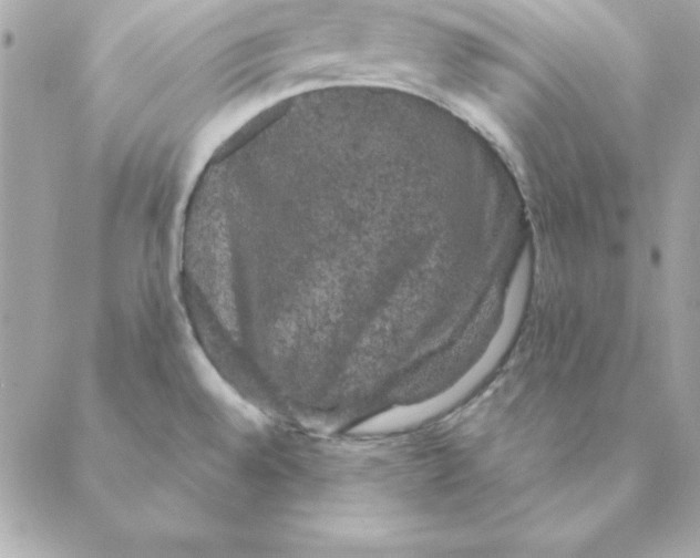 X0000088591528200706151724