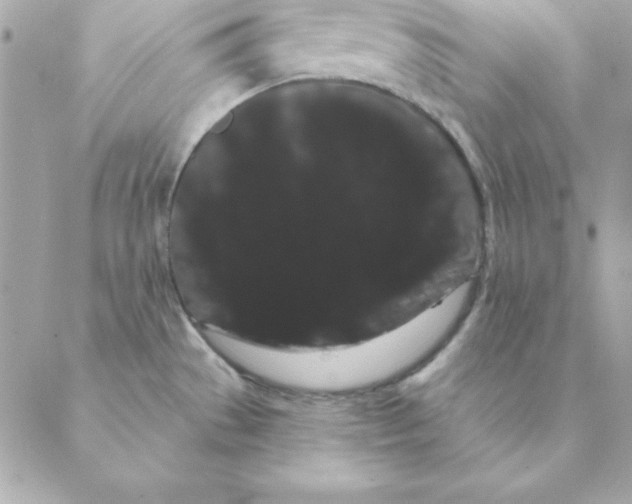 X0000088591529200706151724