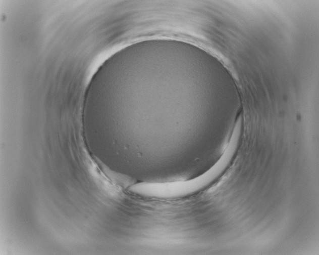 X0000088591530200706151724